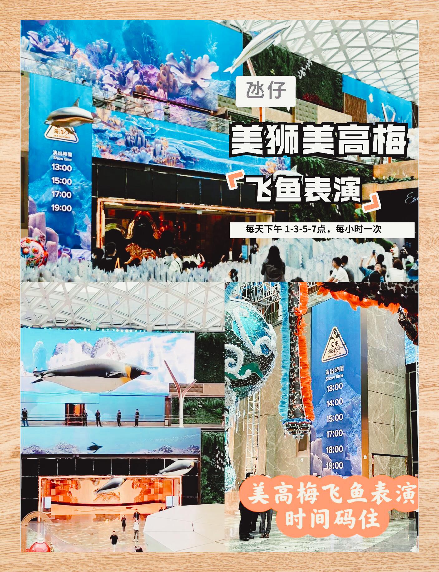 2024澳门正版资料免费分享-第1张图片