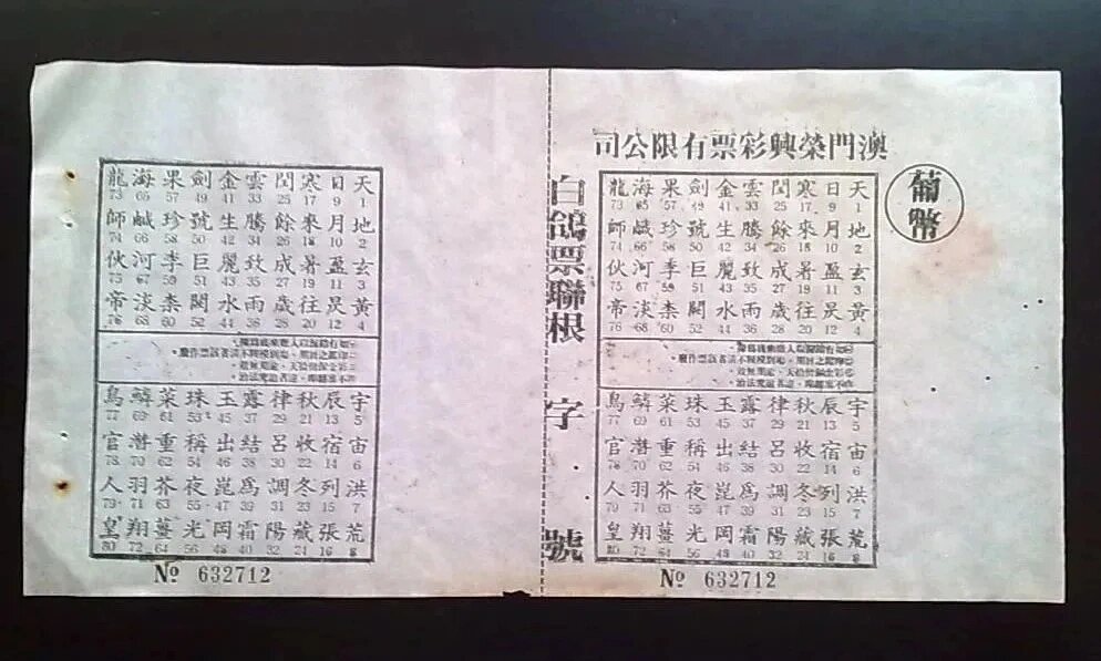 澳门一码一肖一特中，探索数字彩票的魅力