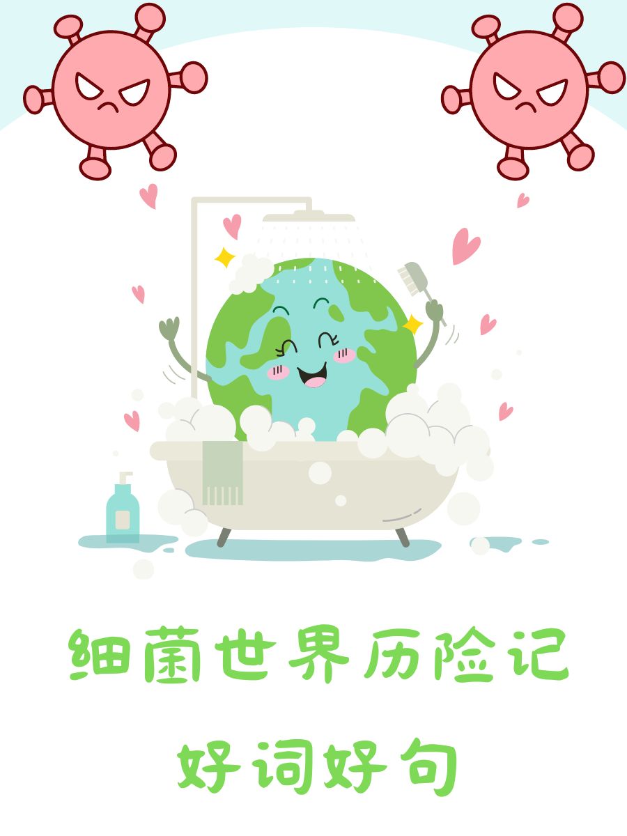 多彩网，探索网络世界的无限可能
