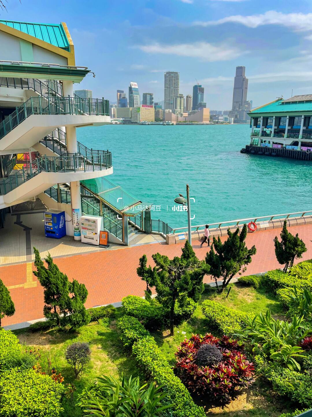 香港资料免费长期公开，探索香港历史与文化的珍贵资源