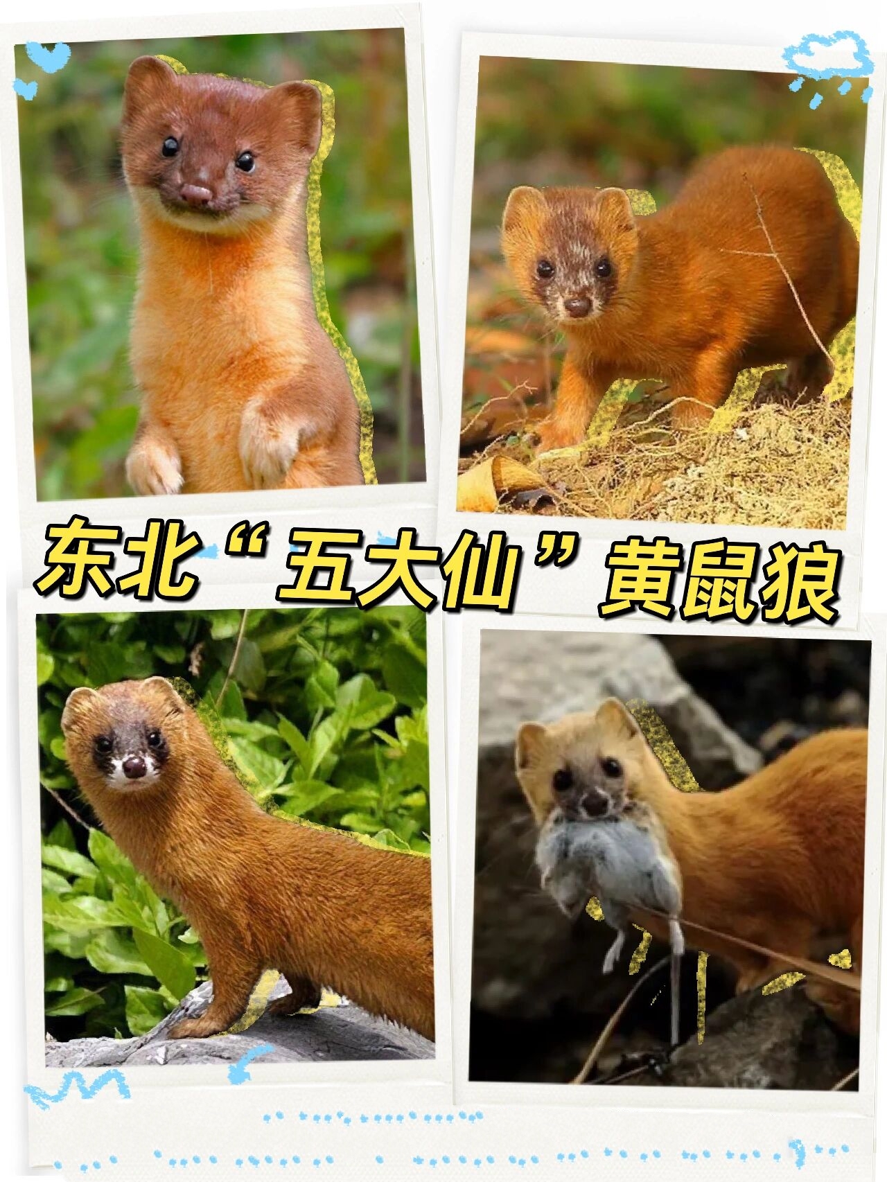 黄大仙精准大全正版资料大全黄大仙精准大全正版资料大全-第2张图片