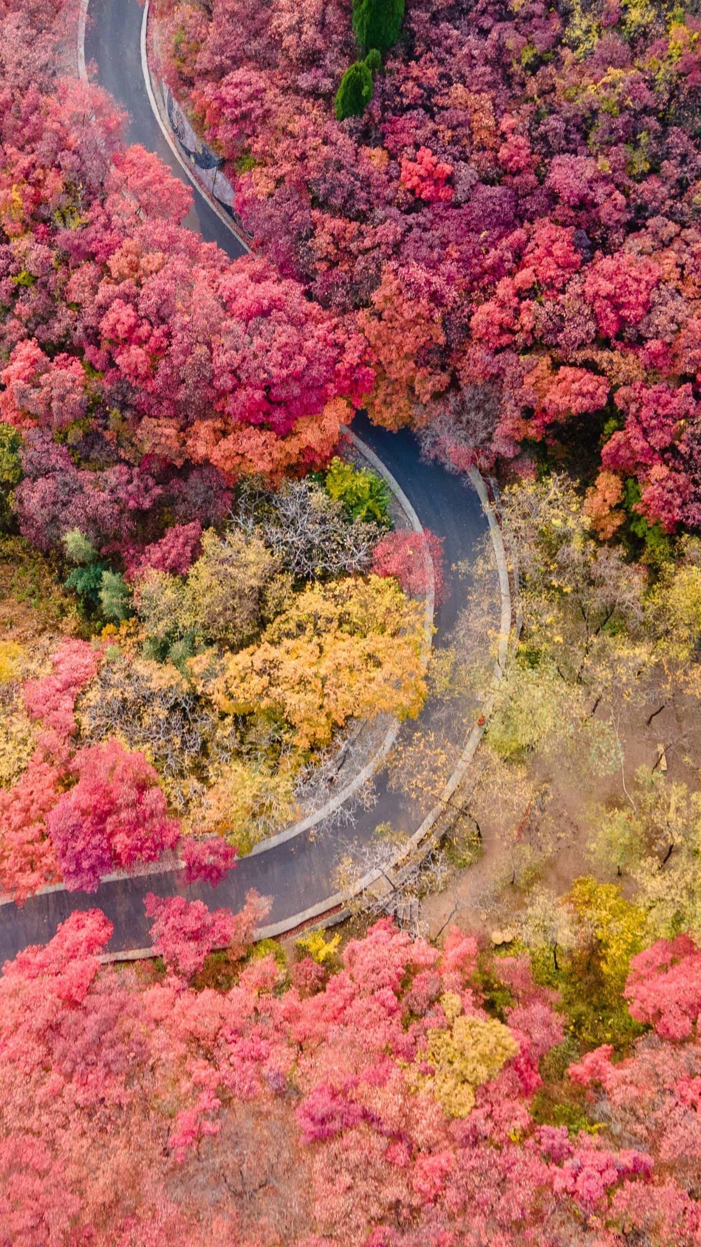 中秋旅游攻略-第3张图片