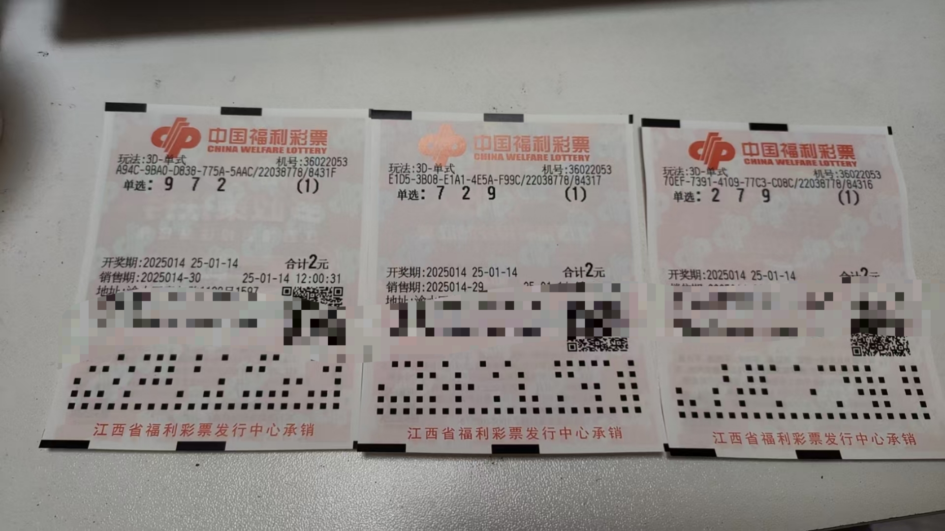 二四六天天好彩——944cc的神奇世界