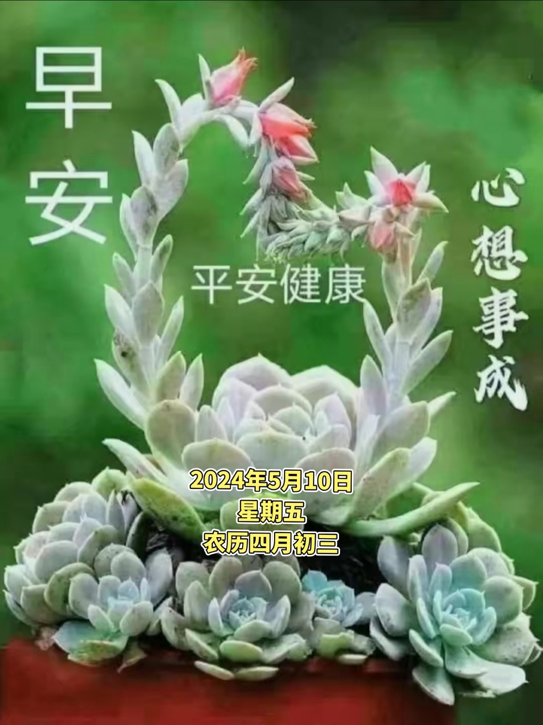 5月9号是什么日子五月九号是什么日子-第1张图片
