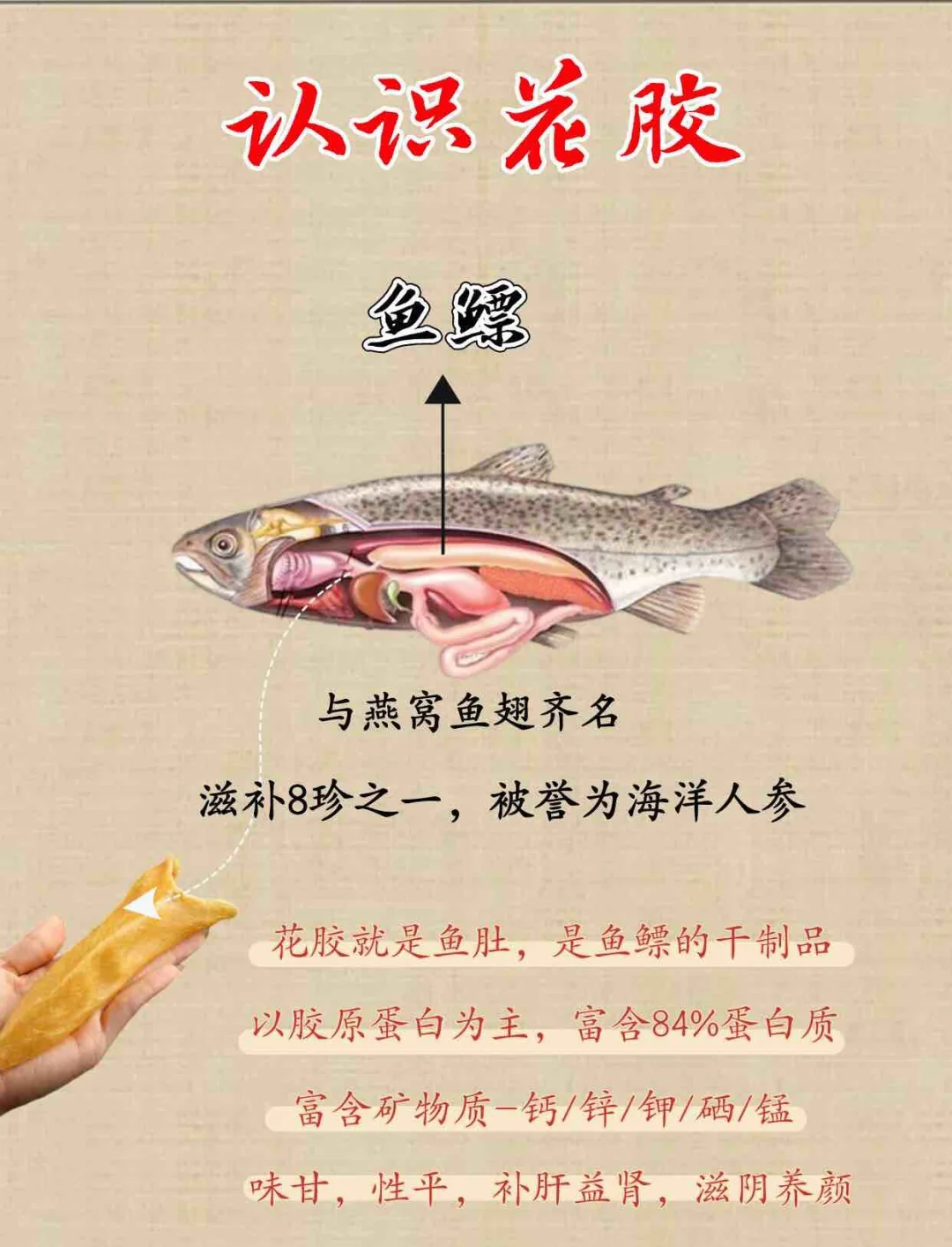 海味八珍，品味海洋珍馐-第1张图片