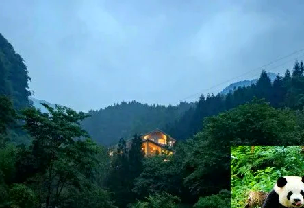碧峰峡住宿体验