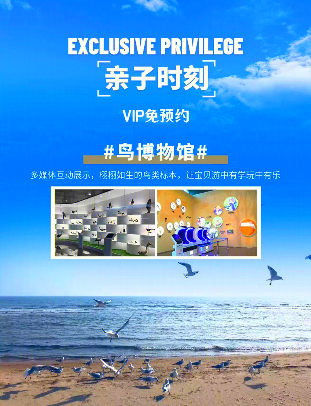 4565小游戏，乐趣无穷的探索之旅