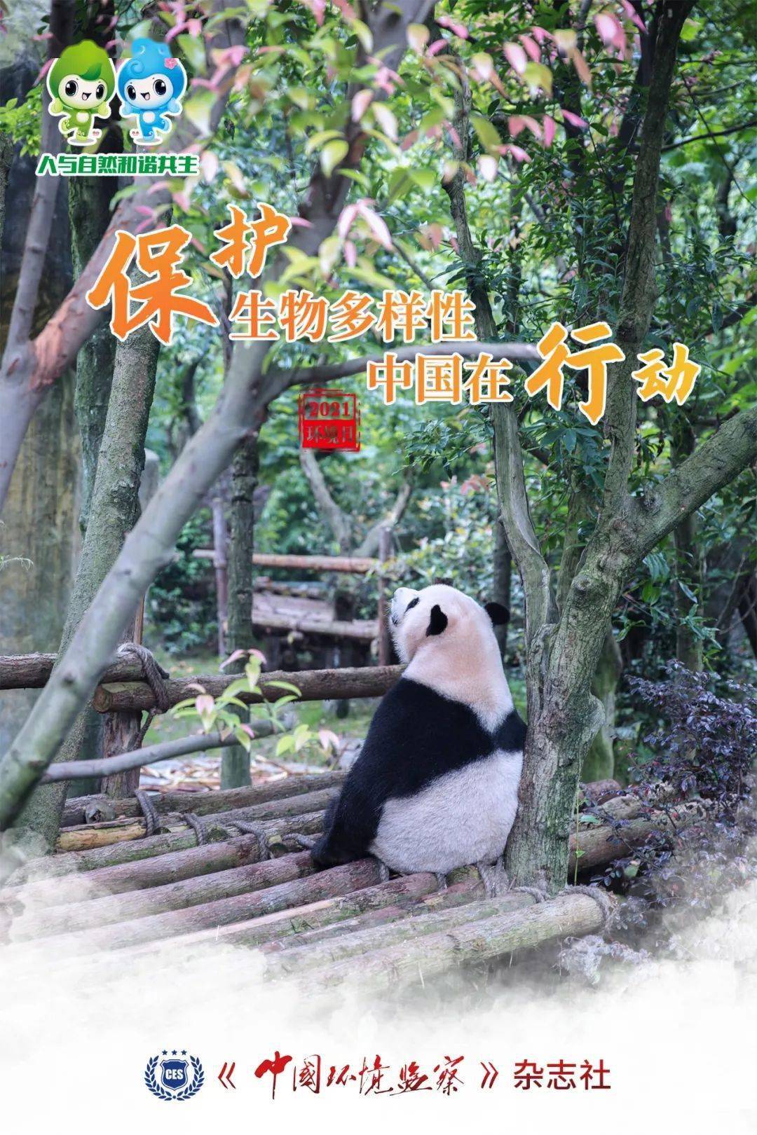 山河网山河网，自然与人类共生的网络-第3张图片