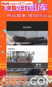 99948红姐主图库电信红姐统一图库彩图免费专区介绍-第2张图片