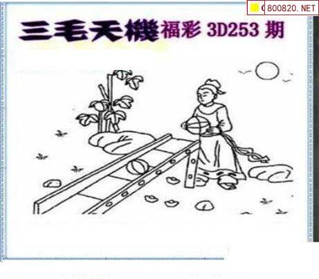 三毛3D图库总汇