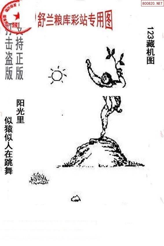 246玄机图资料大全幽默246玄机图资料概述