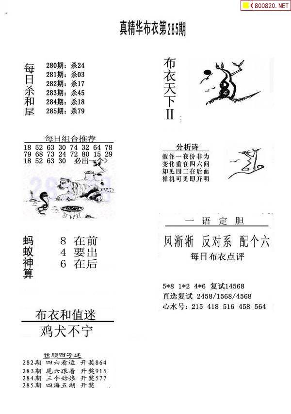 彩摘网布衣天下1234彩摘网，布衣天下新篇章-第2张图片
