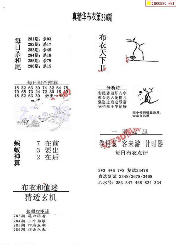 真精华布衣天下3d正版今天,今天晚上的3d开奖号真精华布衣天下3D正版今日盛典-第3张图片