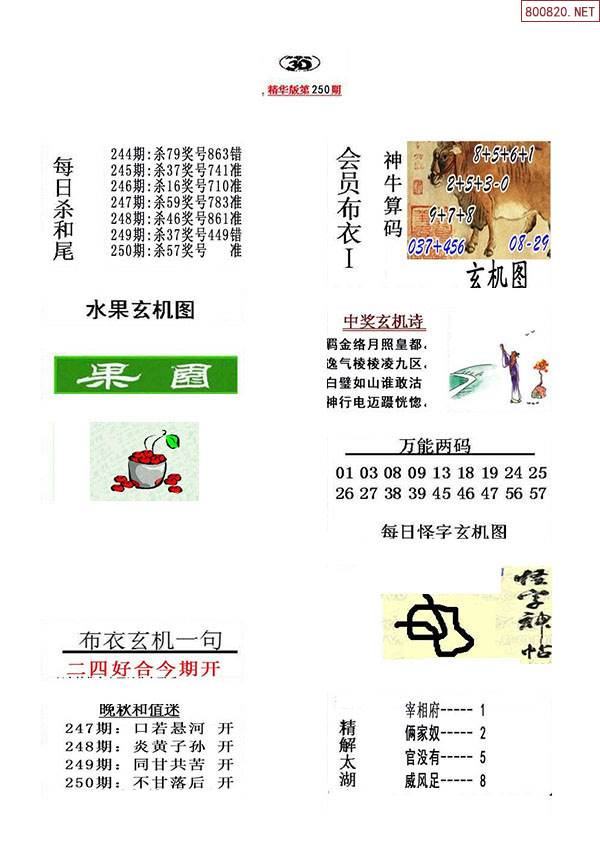 红五图库26226，艺术瑰宝的收藏宝库