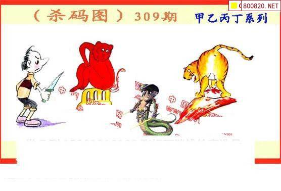 55125中国彩55125中国彩，绚丽多彩的魅力