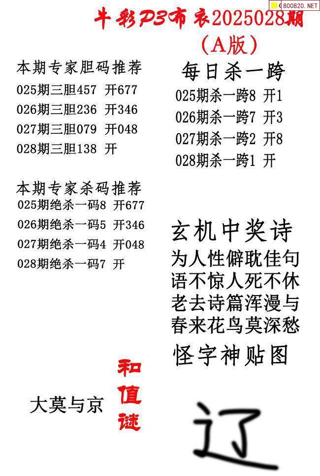 彩摘网布衣天下双胆彩摘网，布衣天下新篇章-第3张图片