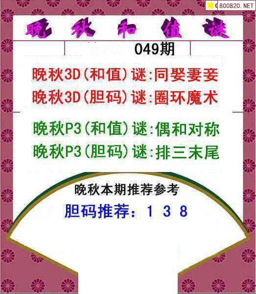 中国福利彩票3D，福彩之谜与乐趣
