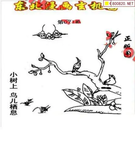 乐透乐3d论坛字谜图谜乐透乐3D论坛，探索数字娱乐新世界-第3张图片