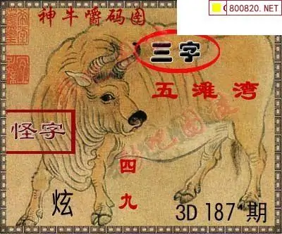 彩吧网彩吧网，探索数字娱乐新世界