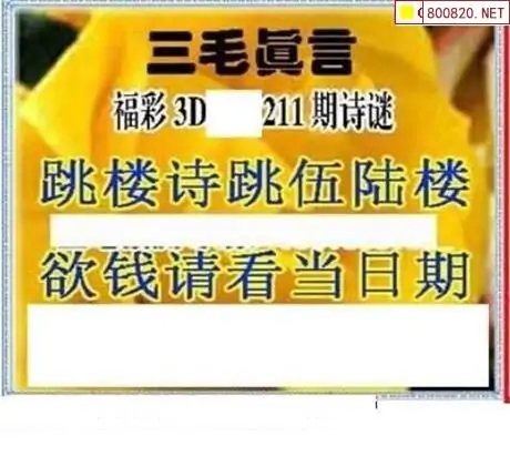 三毛图库3d三毛图库3D，探索数字艺术的新世界-第2张图片