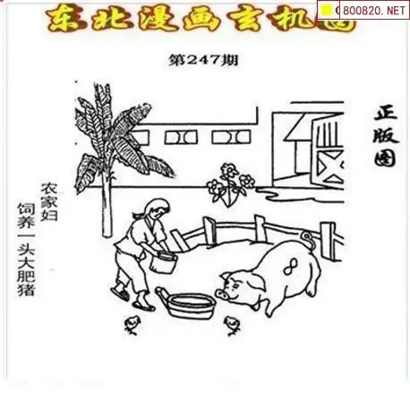 3d字谜画谜3D字谜画谜