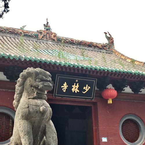 中国鹰猎，探寻自然与精神的双重魅力-第2张图片