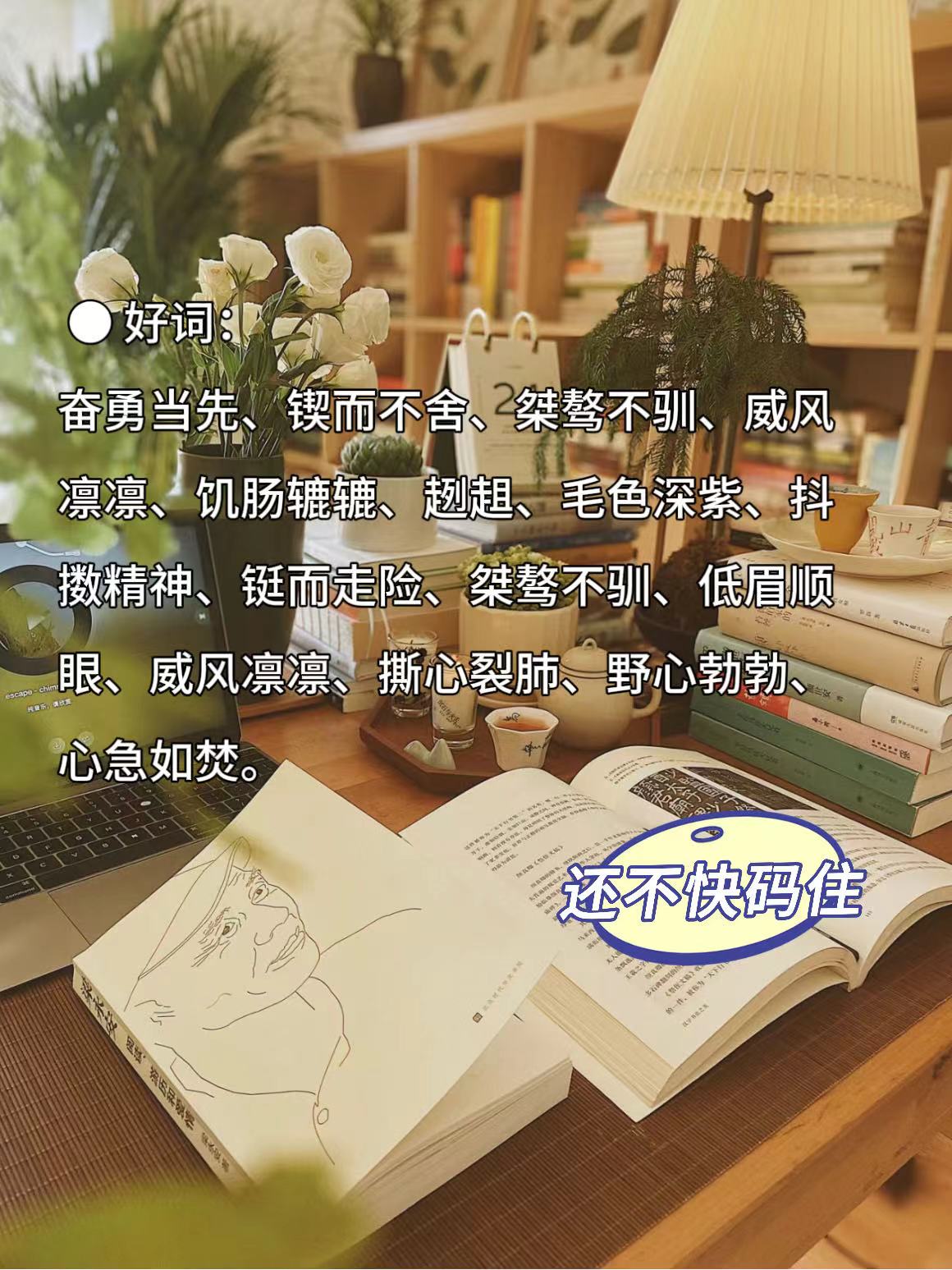 狼王梦全文阅读