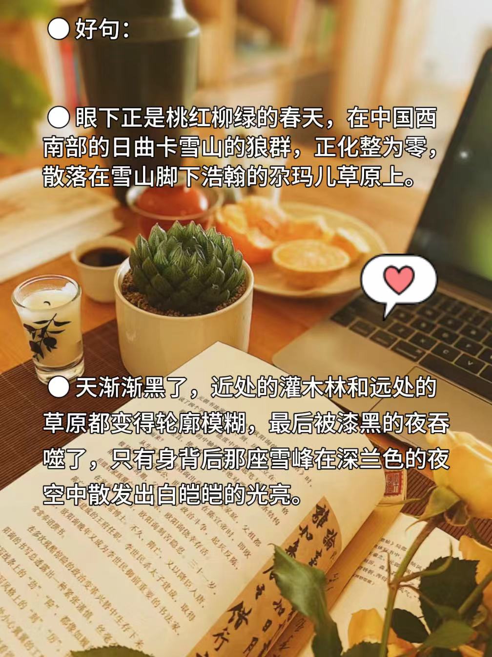 《狼王梦》全文阅读狼王梦全文阅读