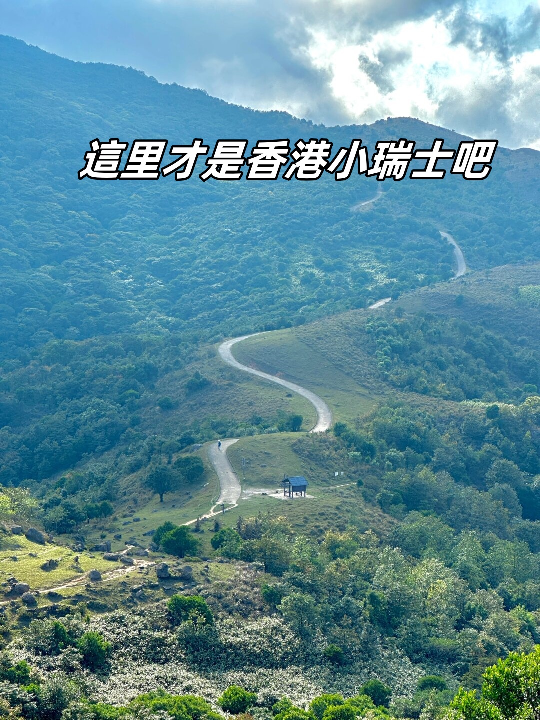 香港最真正最准资料香港最真正最准资料，探寻真相的黄金指南