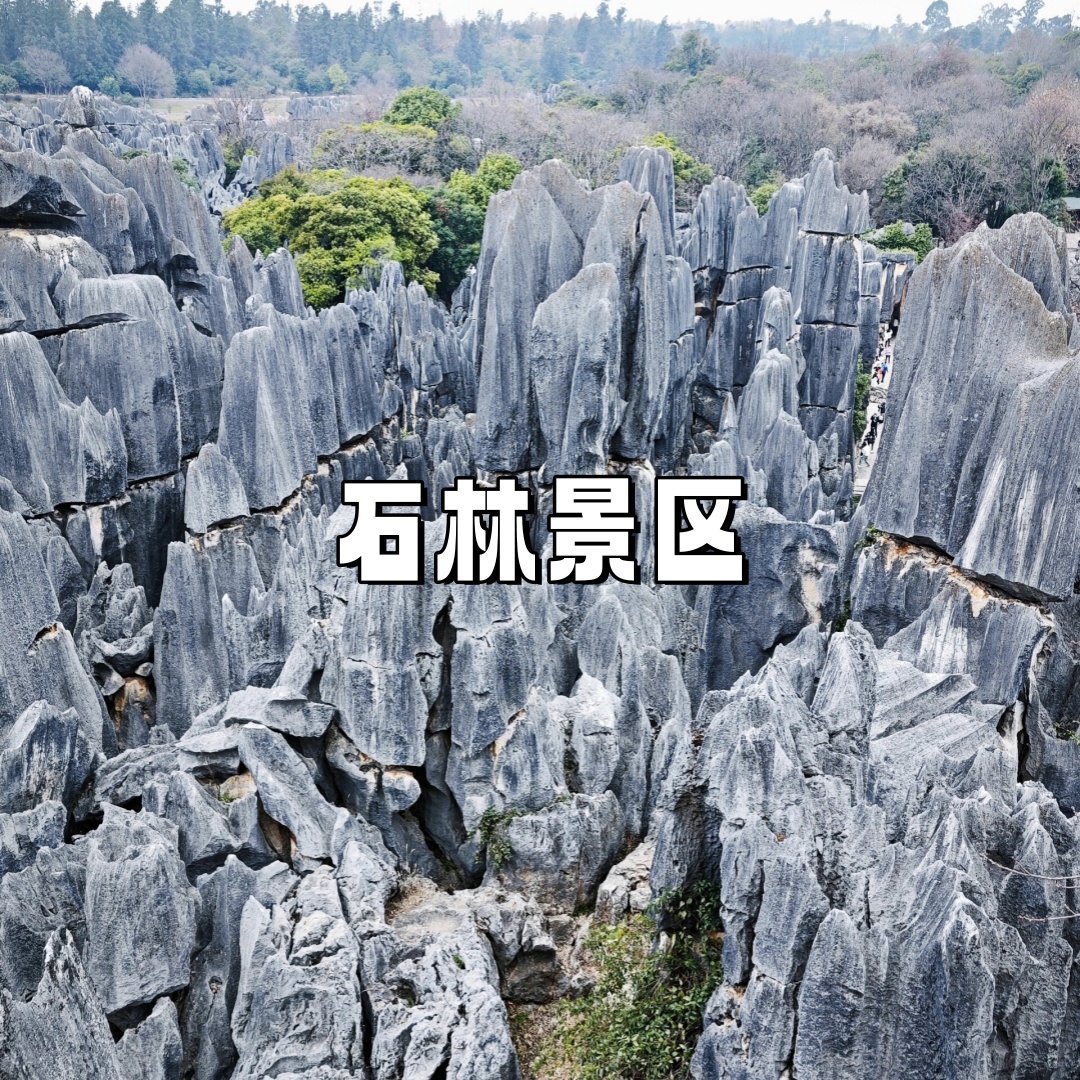 云南旅行团哪个比较好云南旅行团之旅，探秘云南之美