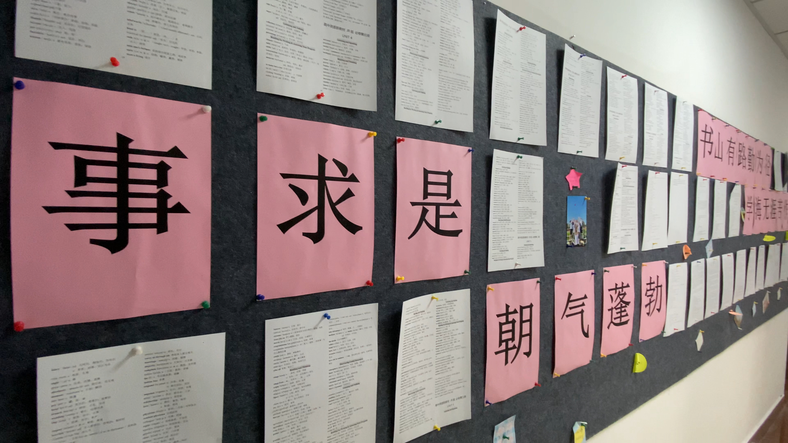 买马资料买马资料，策略与技巧