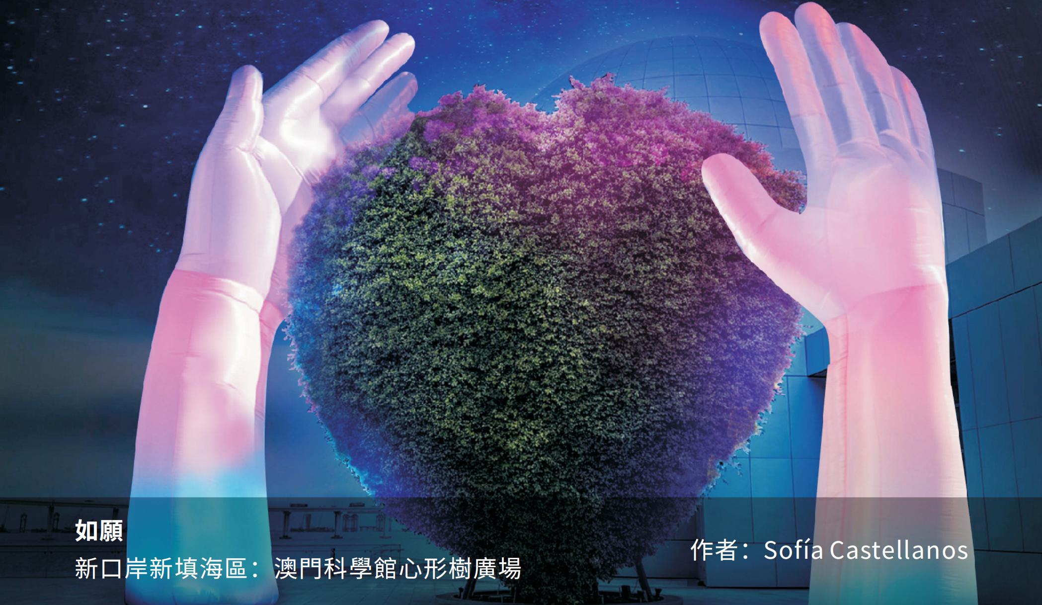 2020澳门图片澳门2024年图片资料-第2张图片