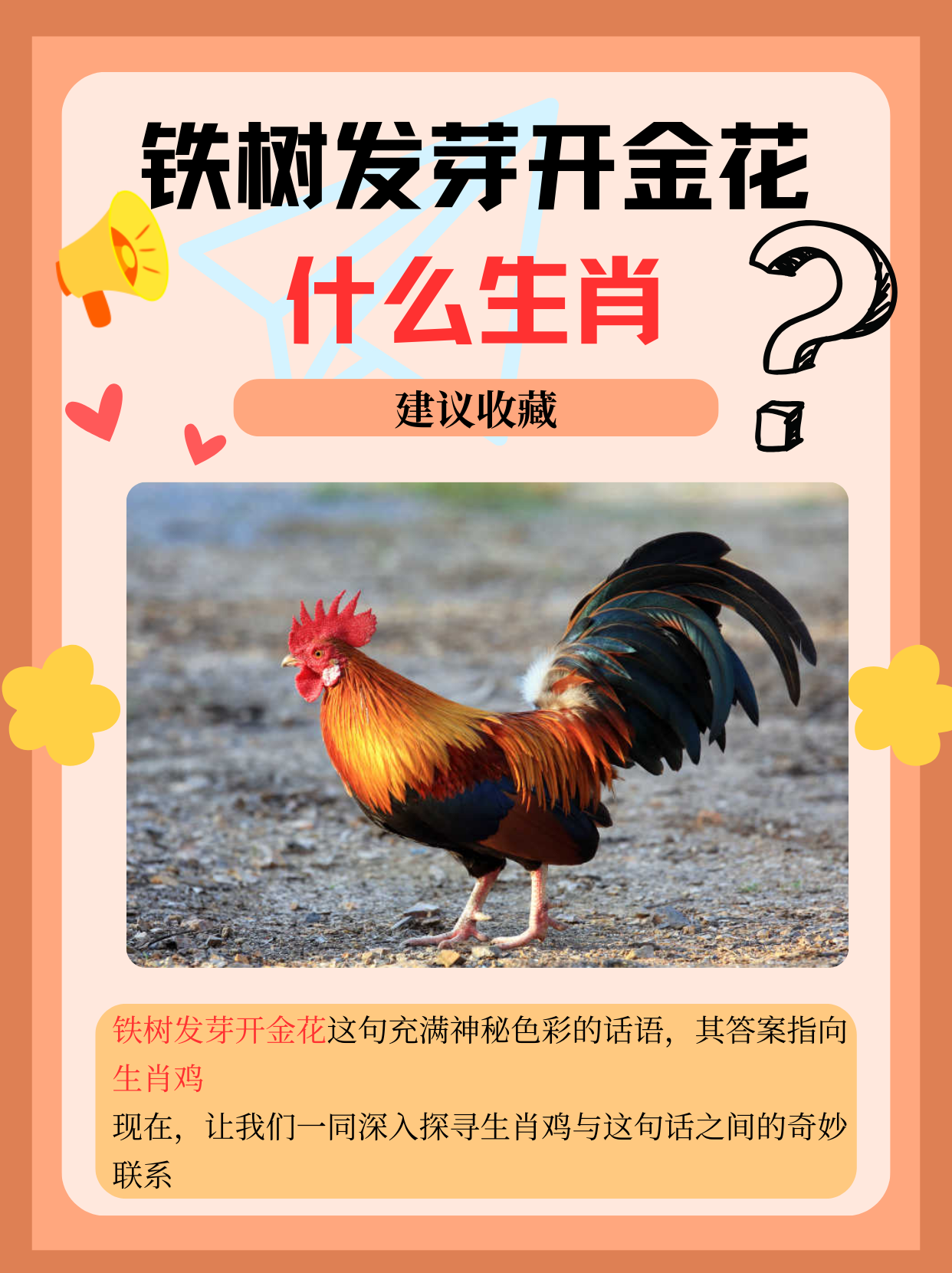 今晚9点30开什么生肖今晚9点30开生肖-第1张图片