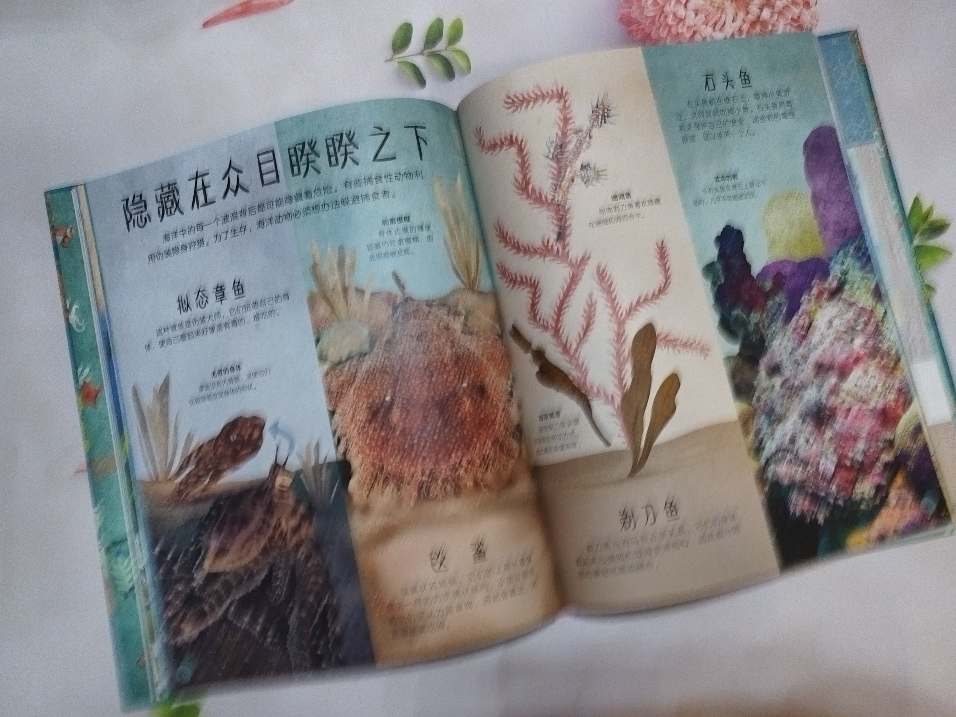 宝典论坛，探索知识宝库的奥秘-第2张图片