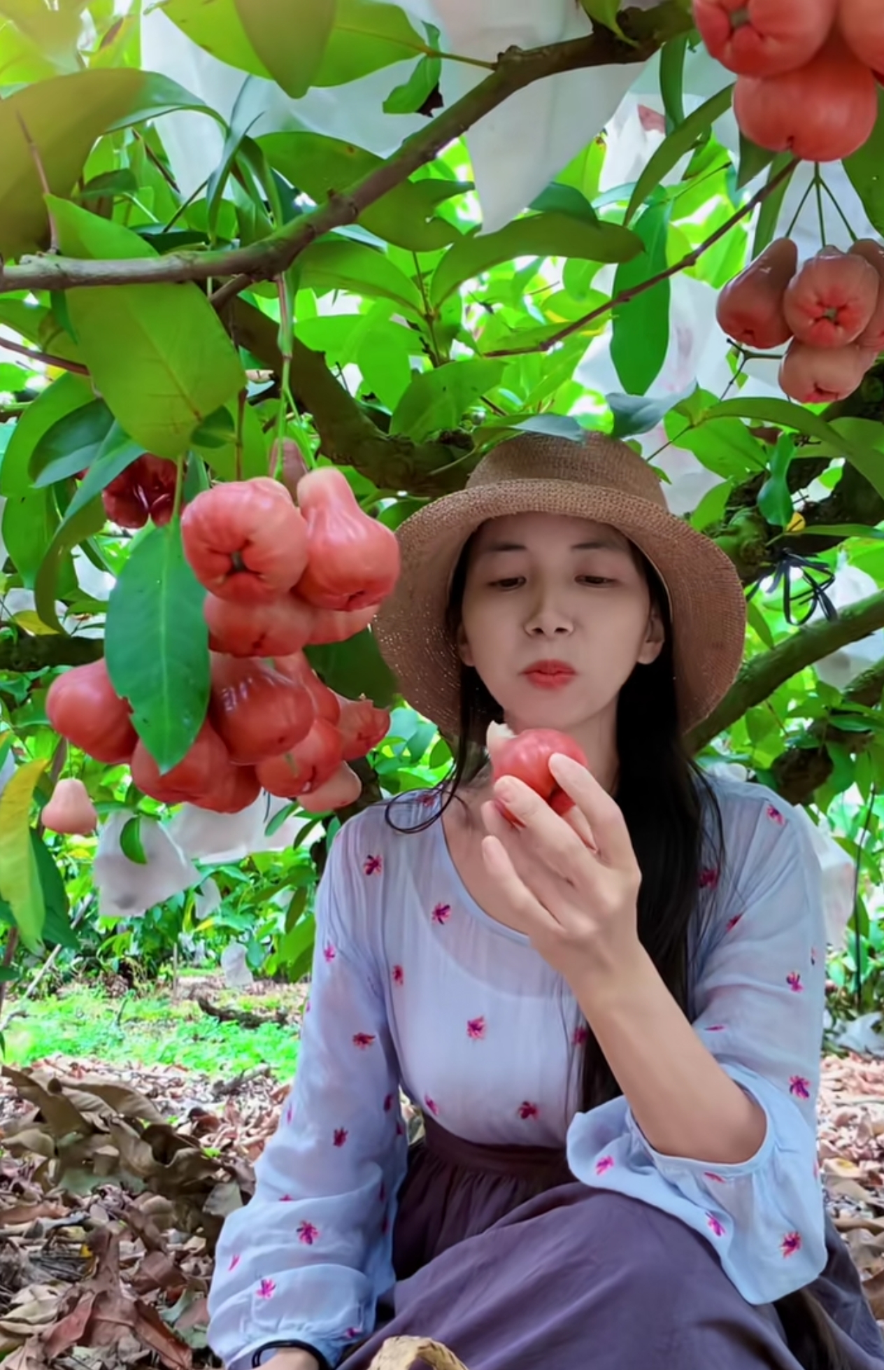 水果奶奶论坛水果奶奶论坛，探索水果的奥秘与乐趣-第2张图片