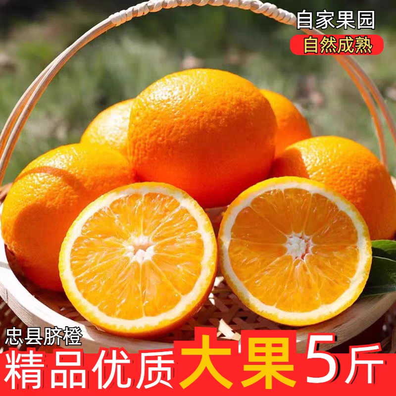 财神爷最爱的3个水果财神爷最爱的3个水果
