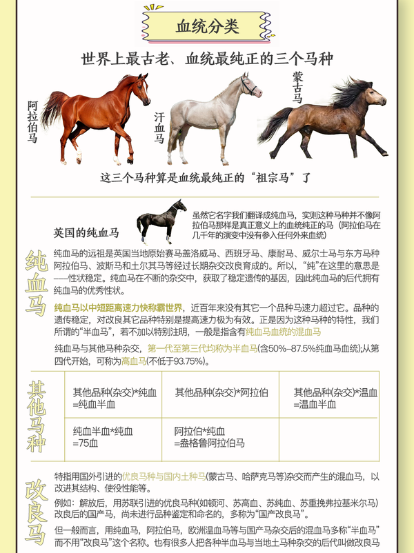 正版马会精选资料大全-第3张图片