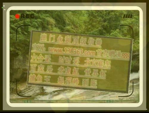 一码三中三免费网站介绍-第3张图片