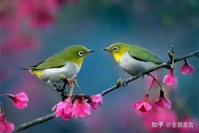 东鳞西爪是什么生肖东鳞西爪，生肖龙-第1张图片