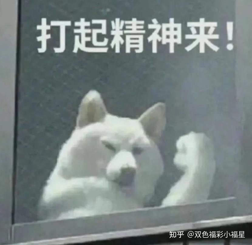 胆拖计算器大乐透胆拖计算器，高效便捷的计算工具
