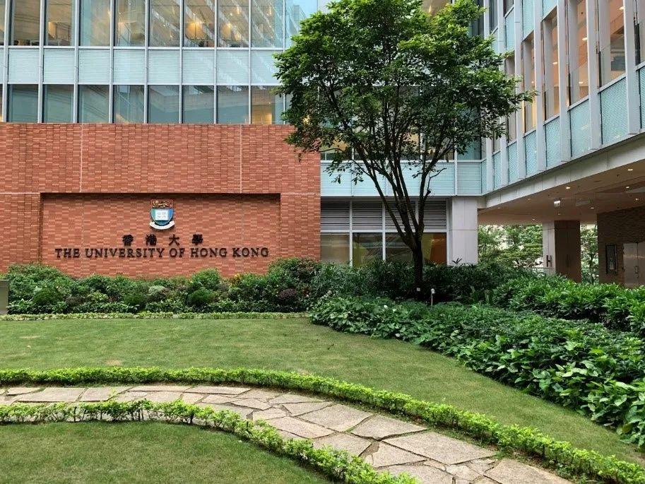 香港近50期历史走势香港近15期历史开奖概览