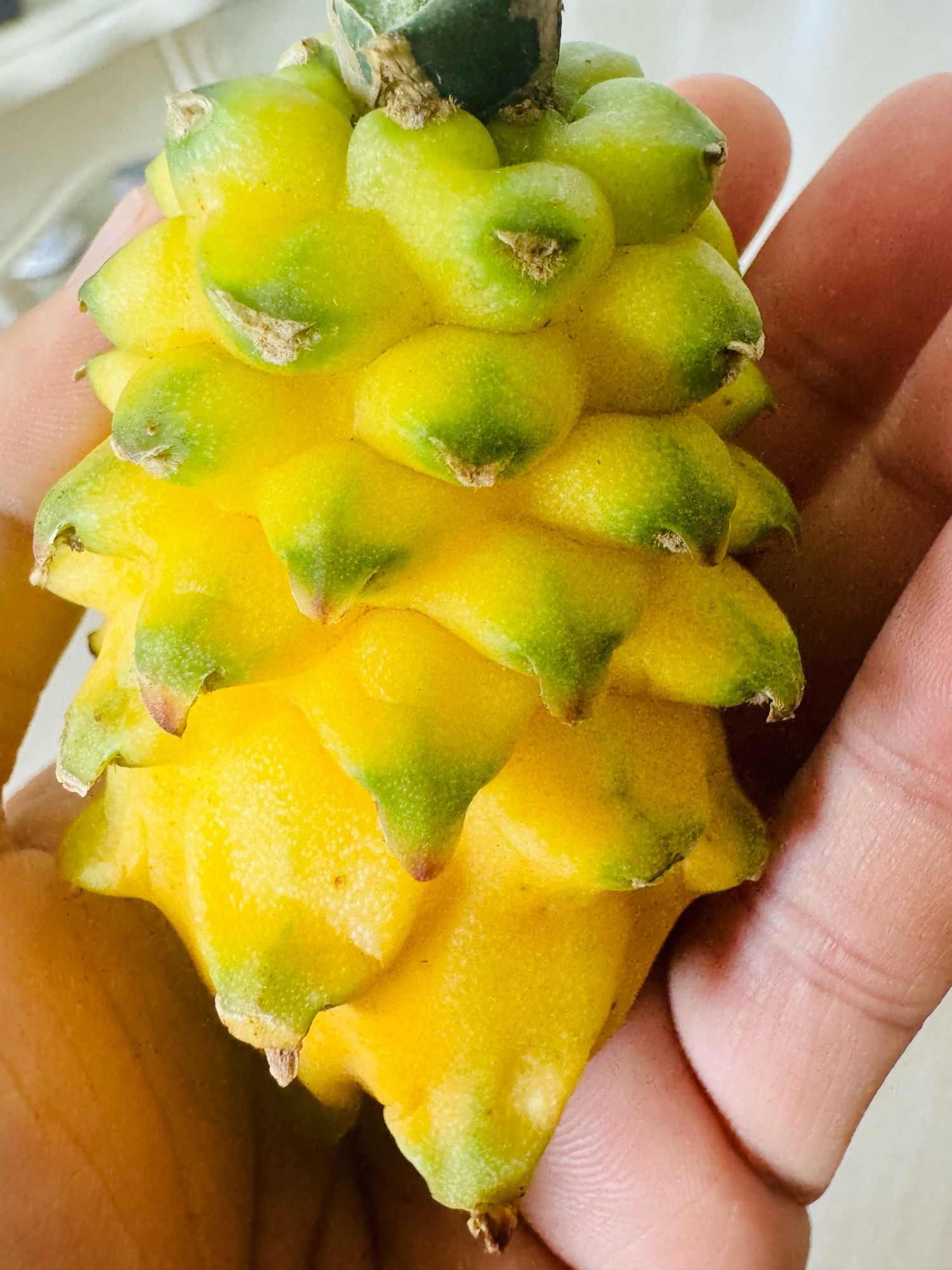 海南土特产海南土特产，独特风味与文化传承