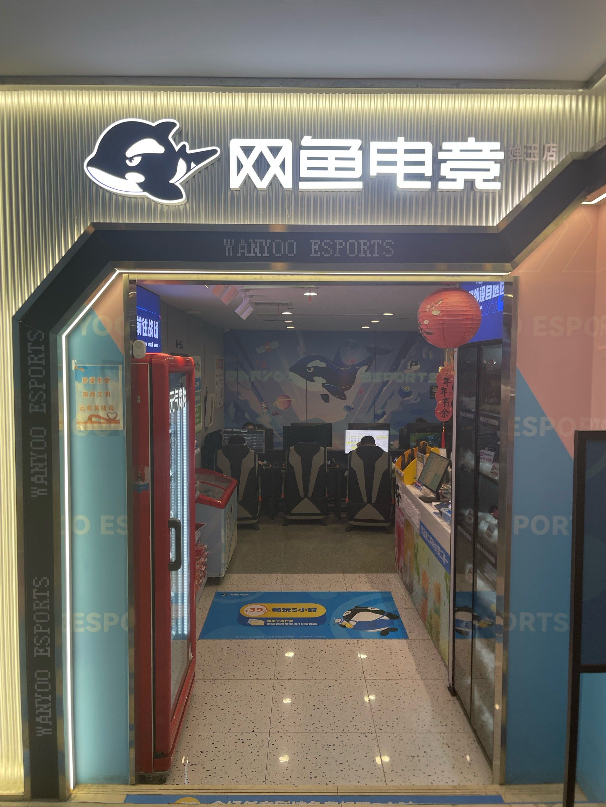 乐鱼网，探索网络新纪元