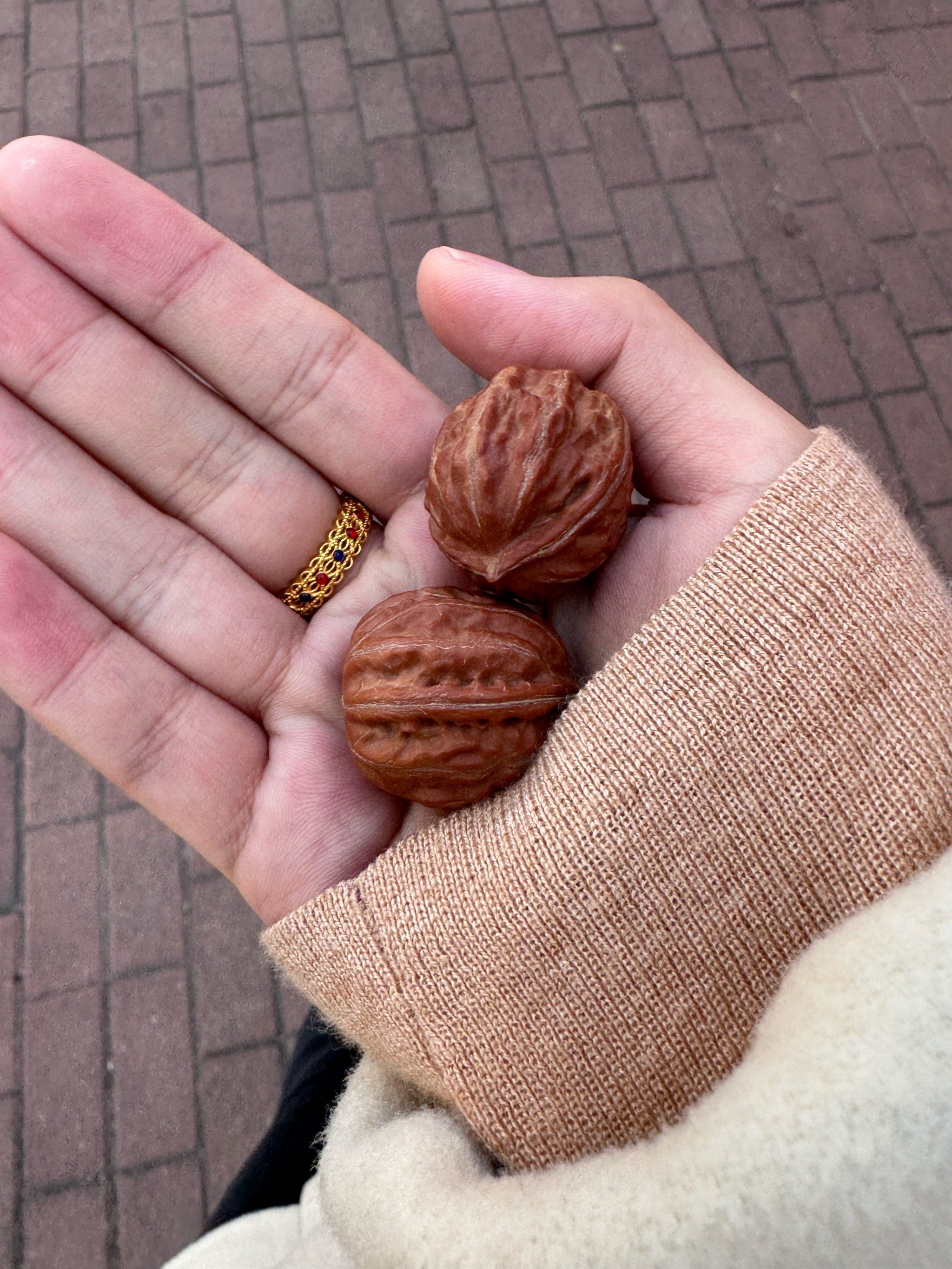 彩票开奖视频直播彩票开奖视频直播，揭秘幸运时刻