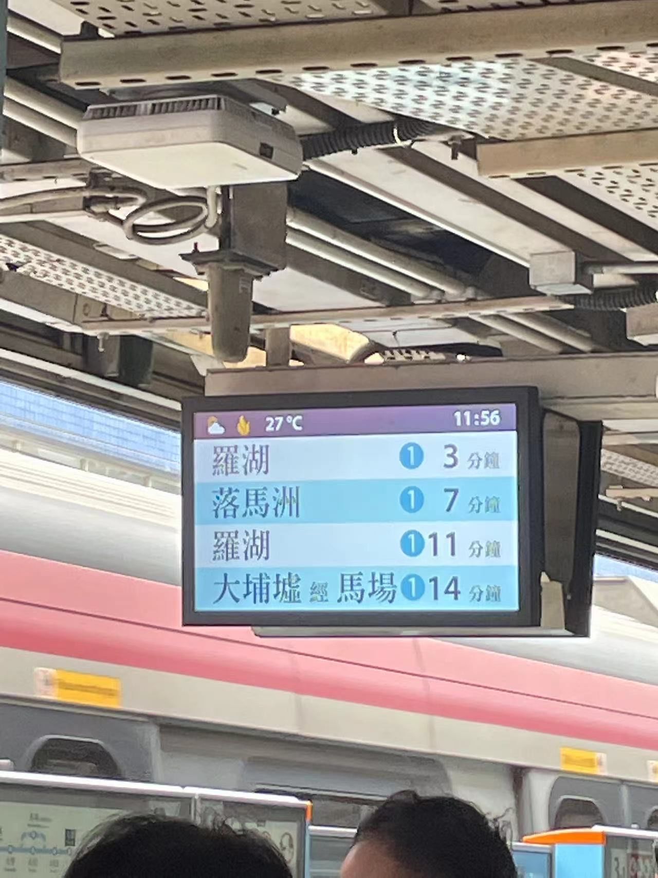 香港赛马会论坛，探讨赛马文化与未来发展-第2张图片