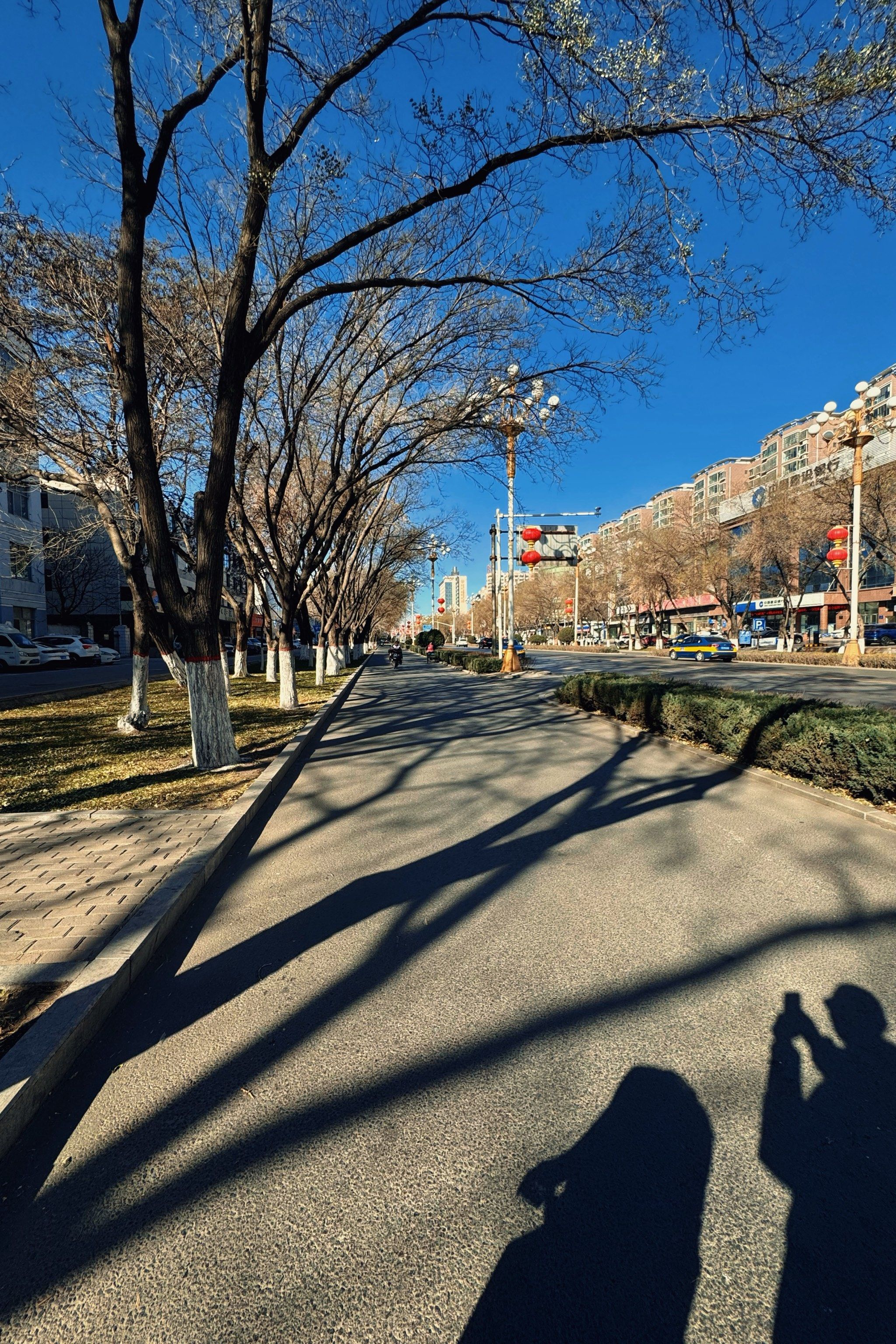 石嘴山地图概览