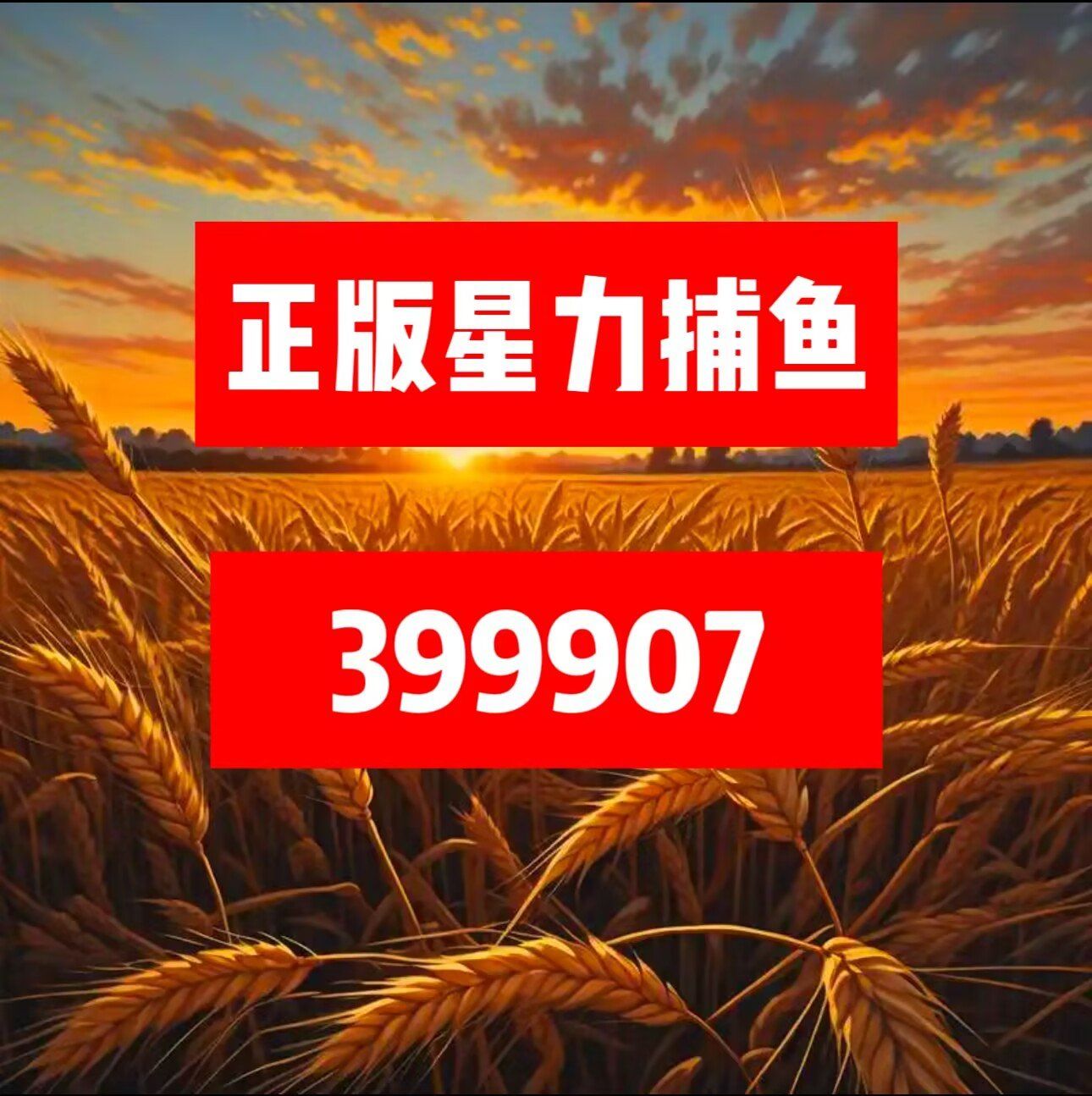 捕鱼星力，海洋生态与人类捕捞的新篇章-第1张图片