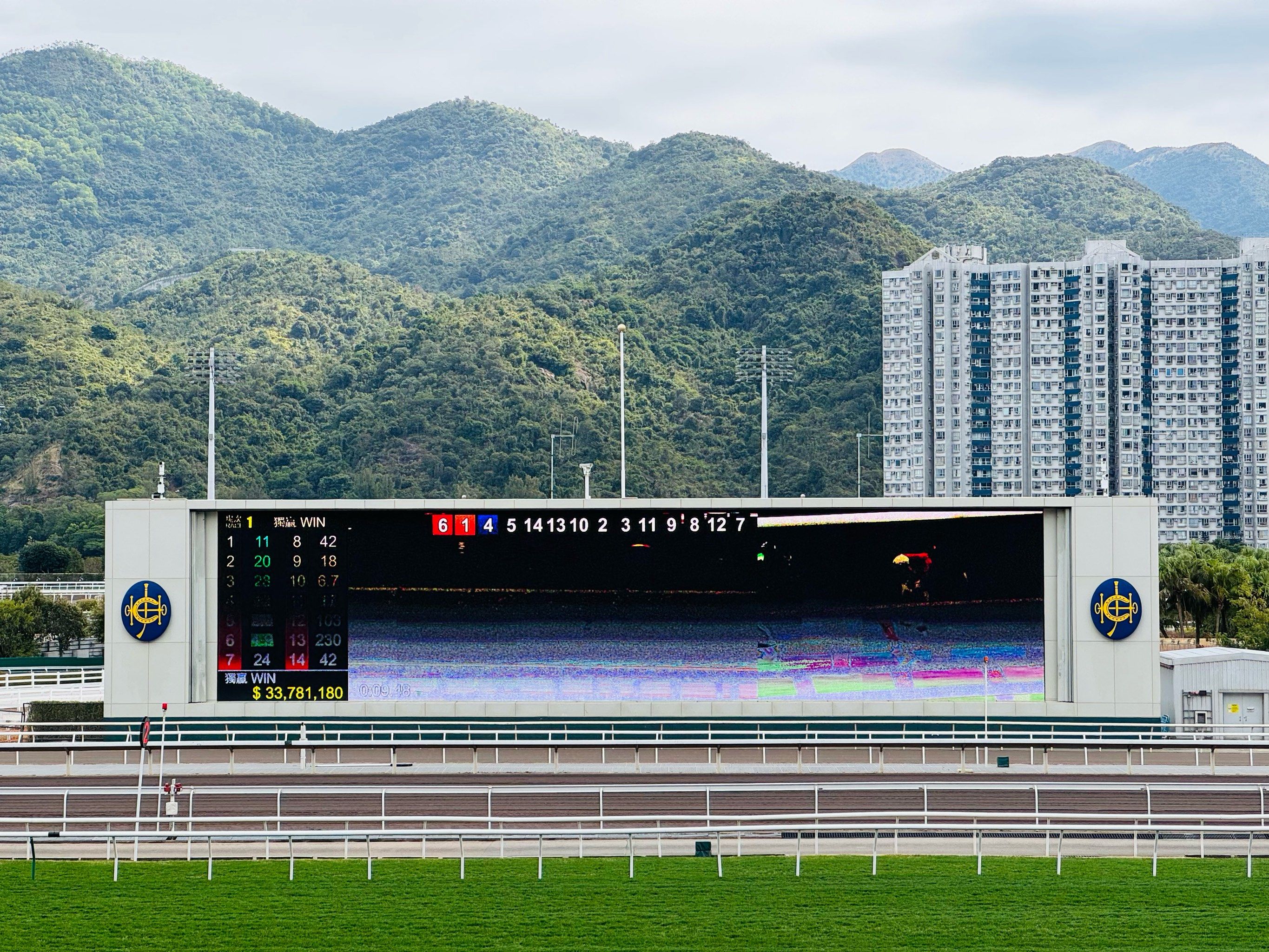 香港赛马协会香港赛马协会，引领香港赛马文化的新篇章