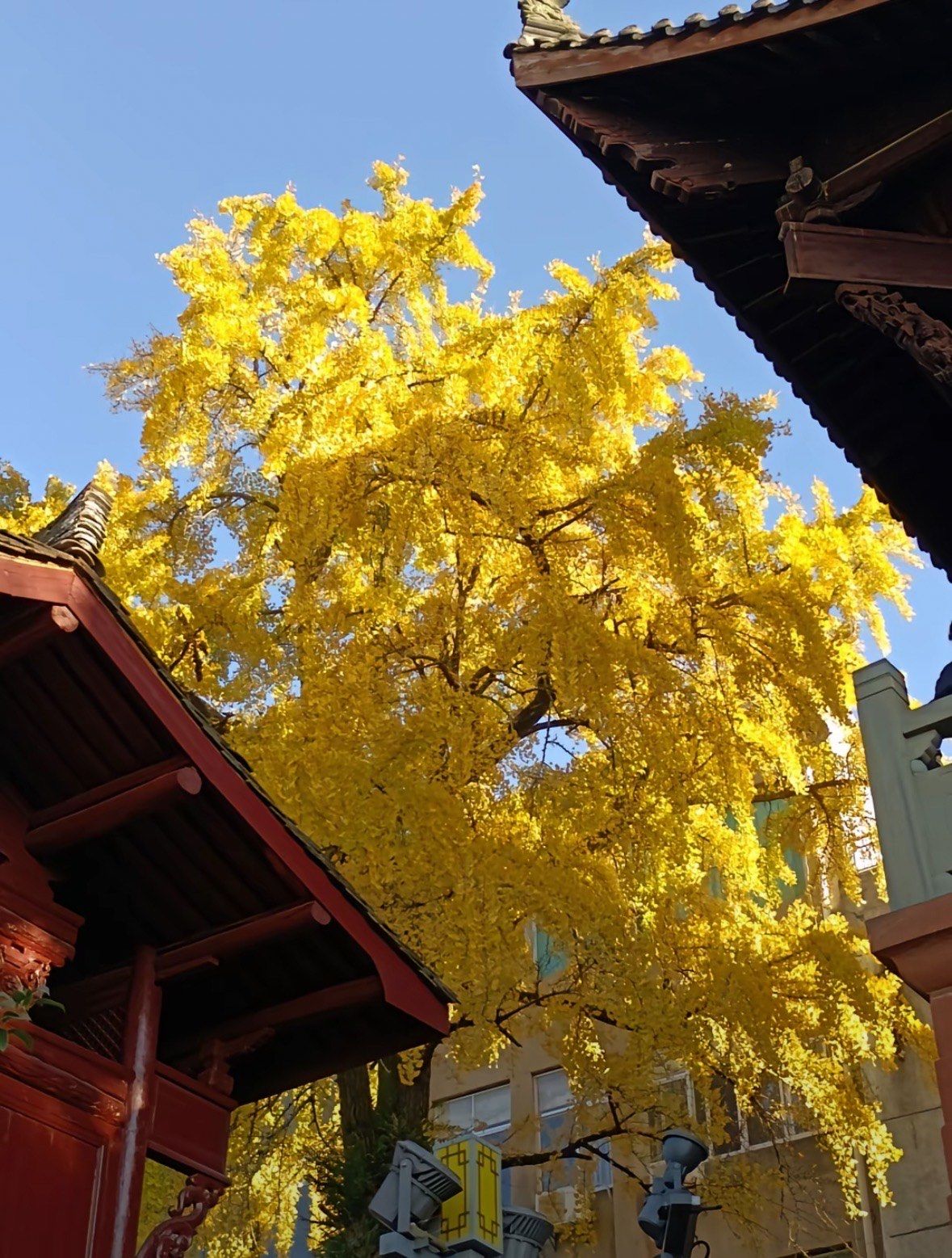 上饶长途汽车站上饶长途汽车站，便捷交通的枢纽