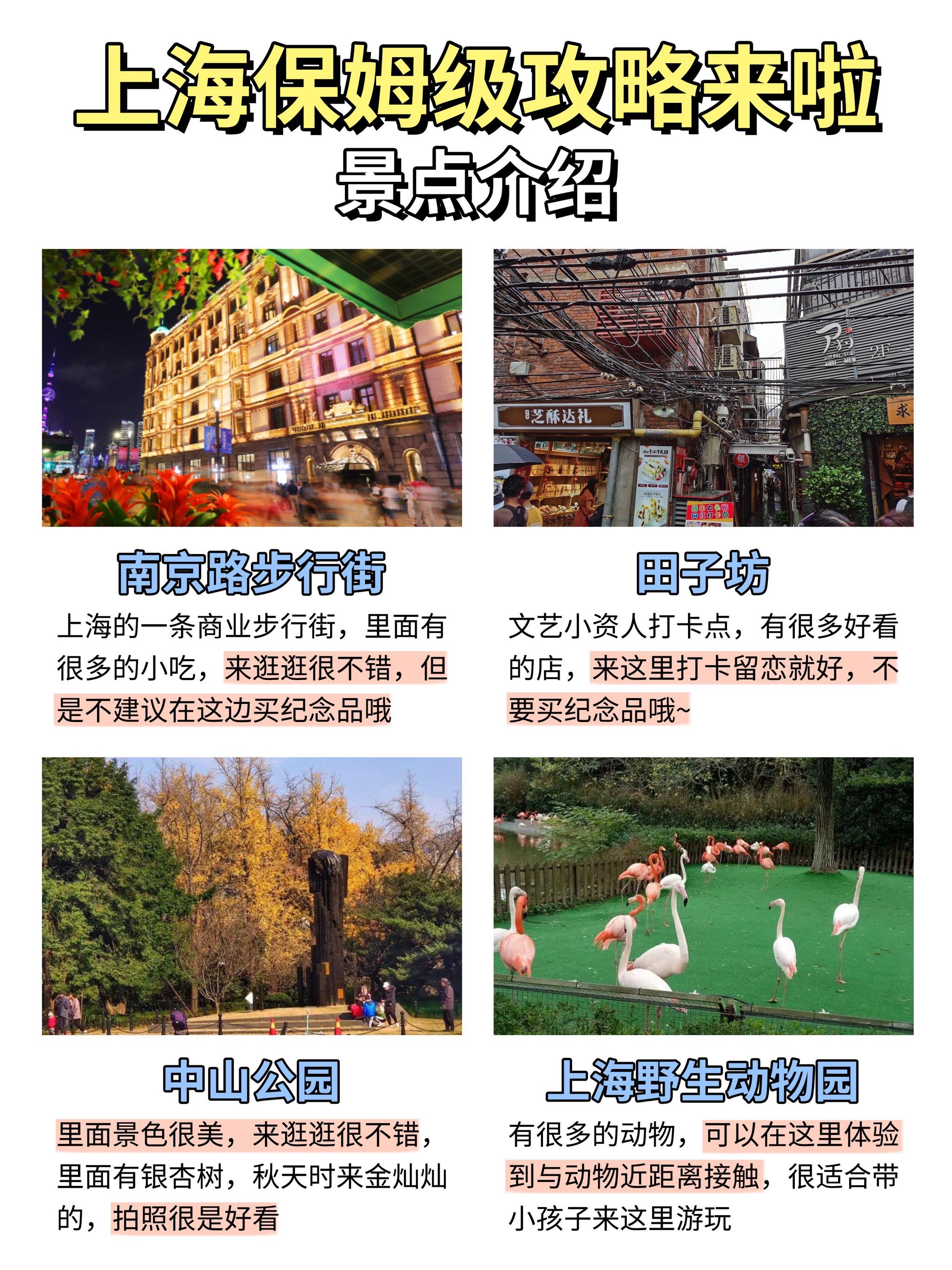 上海旅游攻略两日游-第2张图片